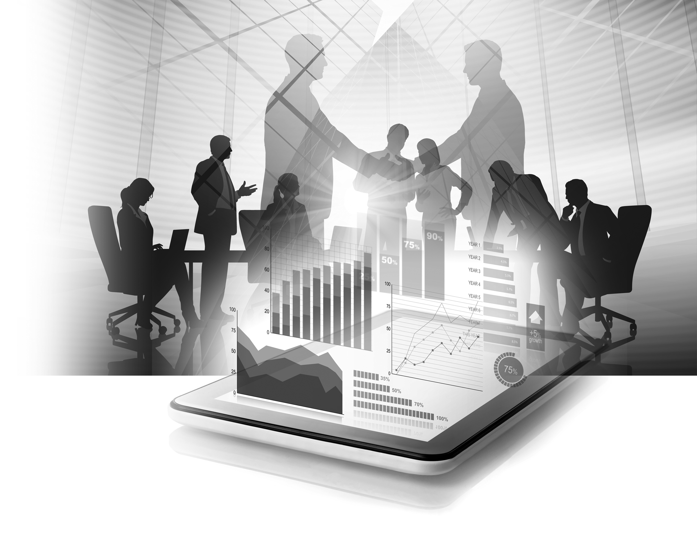 Small Business Enterprises (SME)